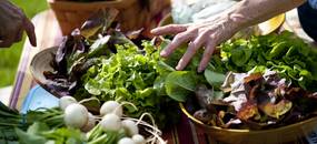 A customers touches fresh lettuce at the Seeley Farm table during the Cobblestone Farm Farmers Market on Tuesday, May 21. Daniel Brenner I AnnArbor.com